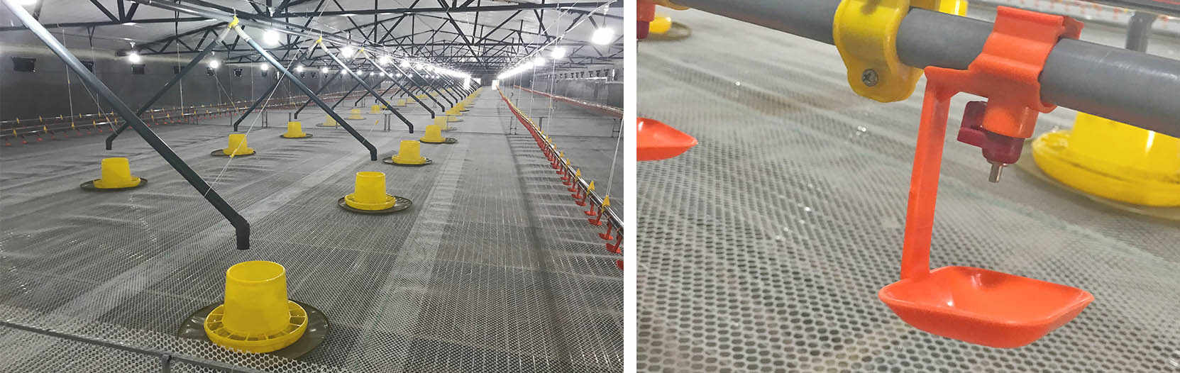 ������|���Q(m��o)���޹�˾